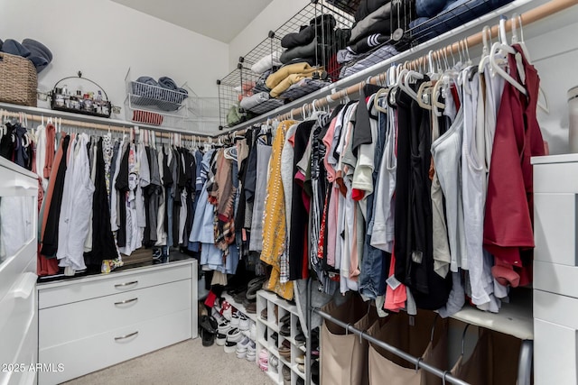 walk in closet featuring carpet floors