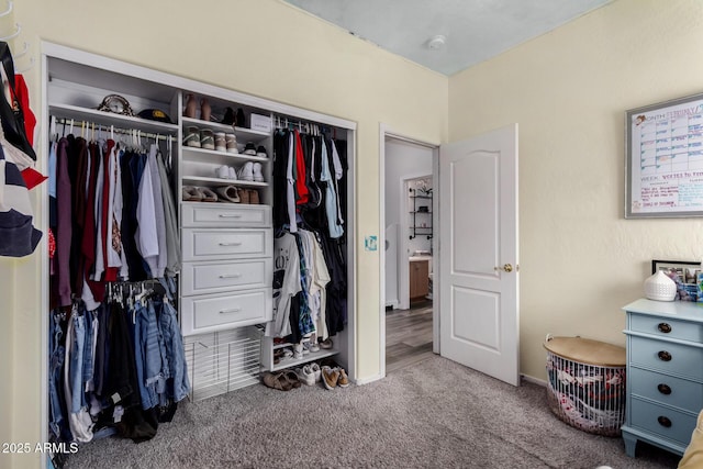 view of closet