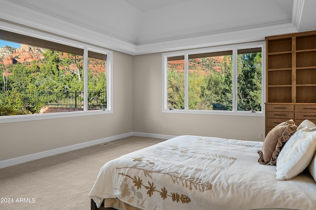 bedroom featuring baseboards and carpet floors