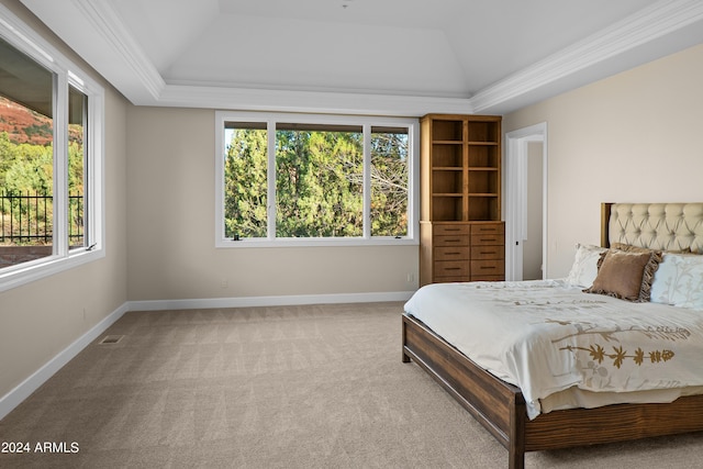 bedroom featuring a tray ceiling, baseboards, lofted ceiling, and carpet