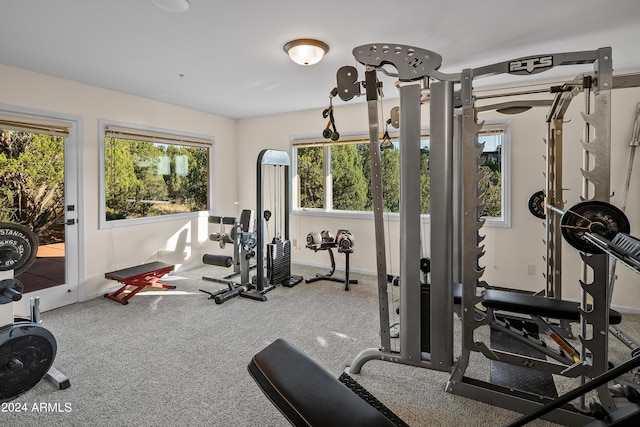 exercise area with carpet