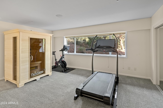 workout area featuring baseboards and carpet