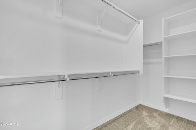 spacious closet with light carpet