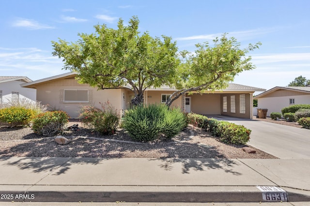 6631 E Dallas St, Mesa, AZ 85205 - view of front of house featuring stucco siding, an attached carport, and driveway