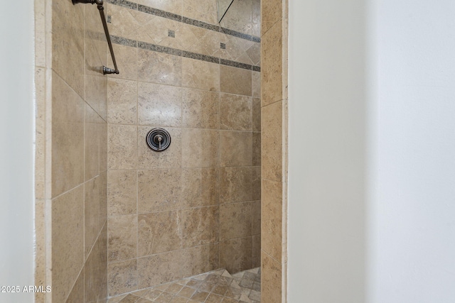 10033 W Jj Ranch Rd, Peoria, AZ 85383 - full bath featuring a tile shower