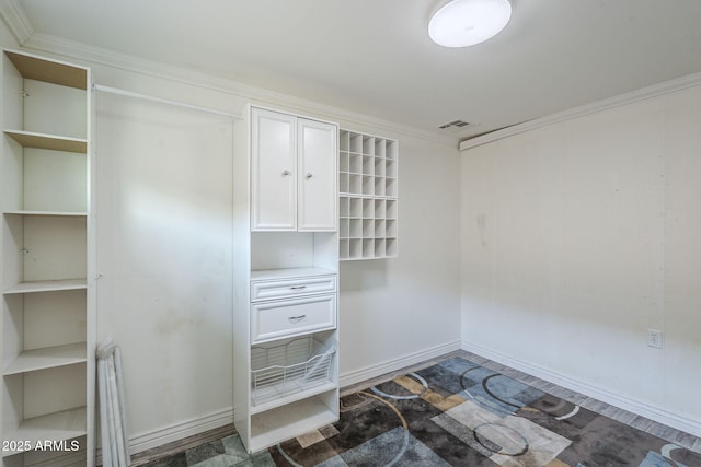 10033 W Jj Ranch Rd, Peoria, AZ 85383 - view of closet