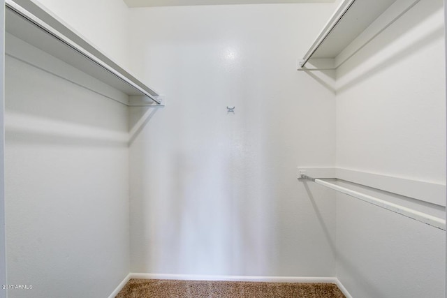 spacious closet with carpet flooring