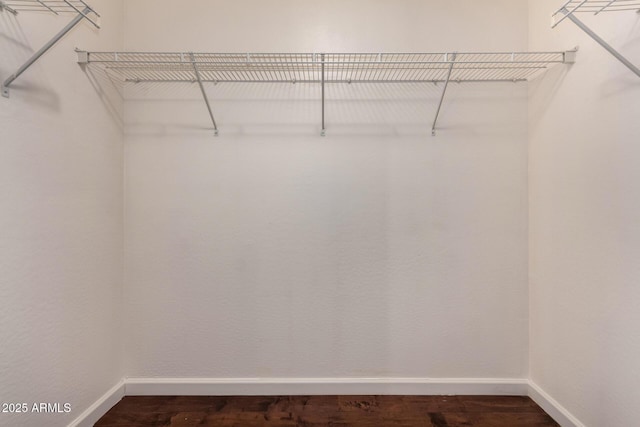 walk in closet with dark wood-style floors