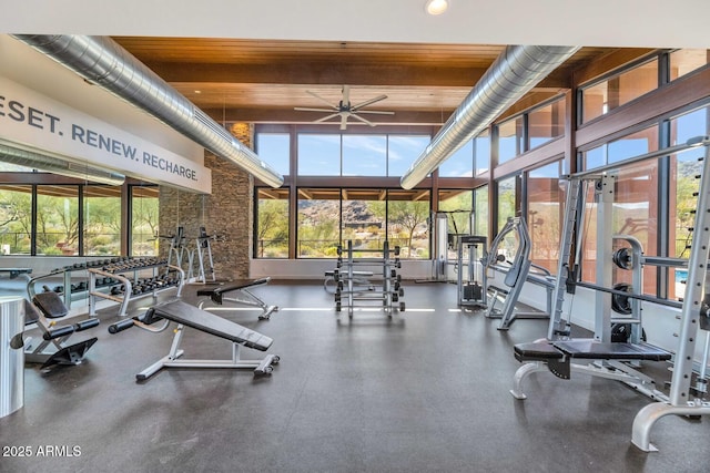 812 E Summerside Rd, Phoenix, AZ 85042 - workout area featuring ceiling fan and a towering ceiling