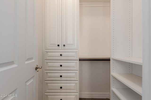 view of walk in closet