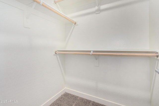 spacious closet with carpet flooring