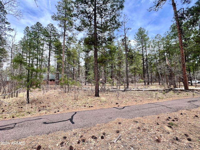 Listing photo 2 for 4024 Latigo Way -, Unit Pinetop AZ 85935