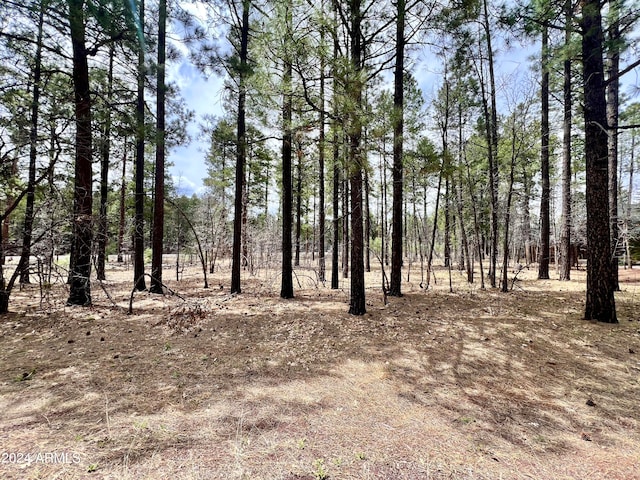 Listing photo 3 for 4024 Latigo Way -, Unit Pinetop AZ 85935