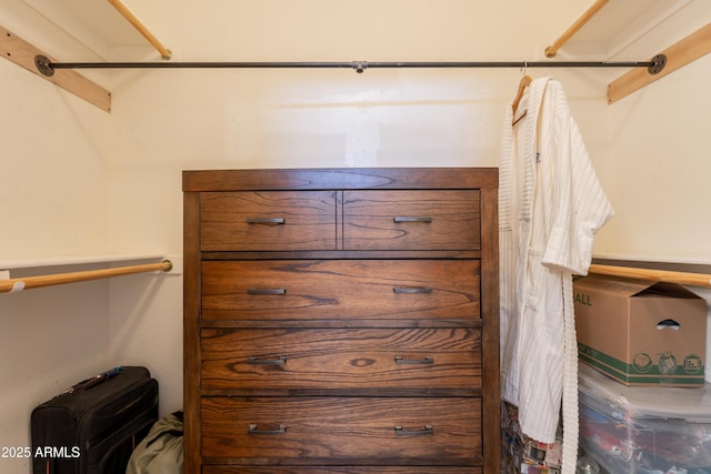 view of walk in closet