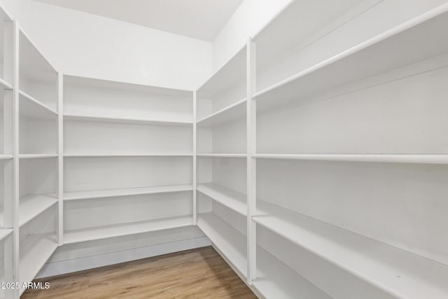 29900 N Maravilla Dr, San Tan Valley, AZ 85143 - view of pantry