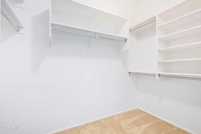 29900 N Maravilla Dr, San Tan Valley, AZ 85143 - walk in closet with carpet flooring