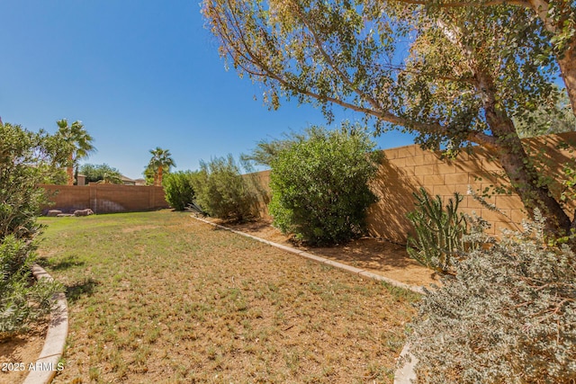 29900 N Maravilla Dr, San Tan Valley, AZ 85143 - view of yard featuring a fenced backyard