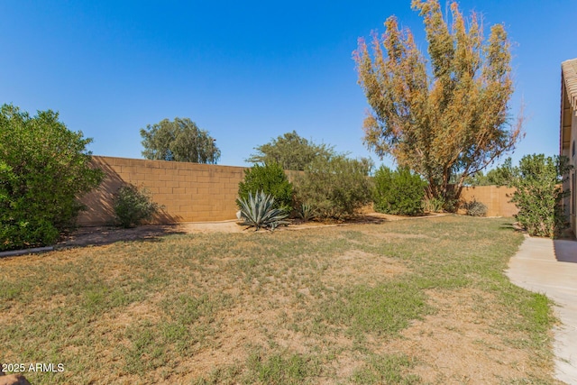 29900 N Maravilla Dr, San Tan Valley, AZ 85143 - view of yard featuring a fenced backyard