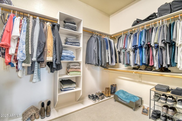spacious closet with carpet floors
