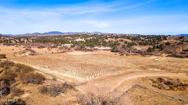 view of mountain feature featuring a rural view