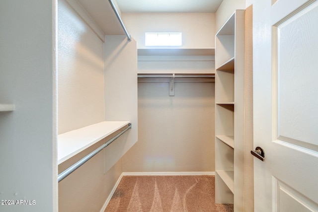 walk in closet with light carpet