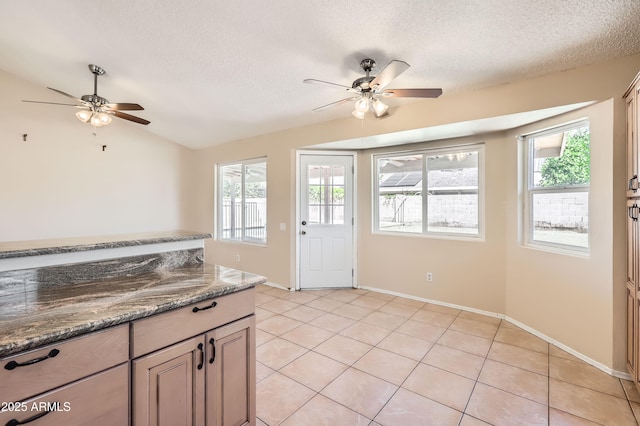 kitchen featuring a wealth of natural light, a ceiling fan, and lofted ceiling
