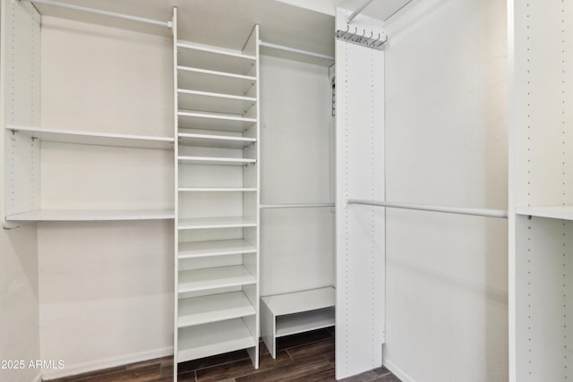 walk in closet featuring dark wood-style floors