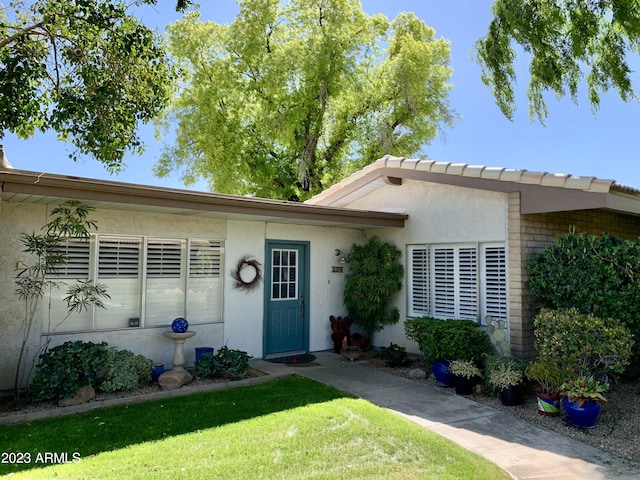 view of front of house featuring a front lawn and stucco siding