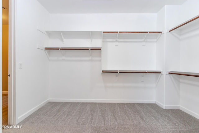 walk in closet featuring light colored carpet