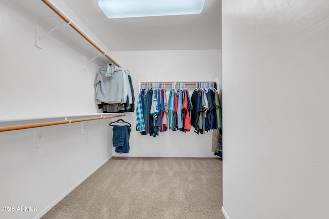 spacious closet with carpet floors