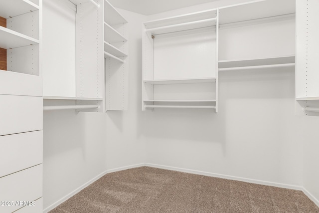 walk in closet with carpet