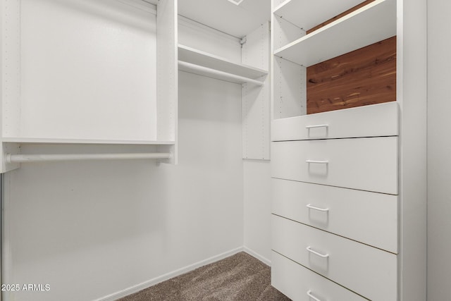 spacious closet featuring carpet flooring