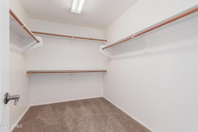 spacious closet with carpet floors