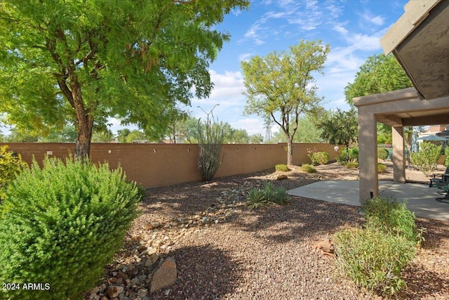 view of yard featuring a patio area