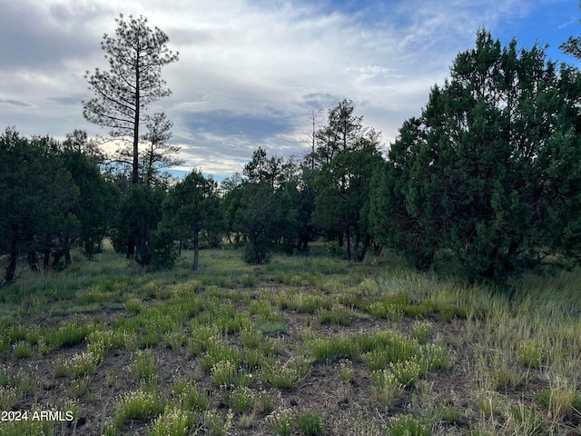 Listing photo 2 for 5402 Red Squirrel Ln Unit 27, Lakeside AZ 85929