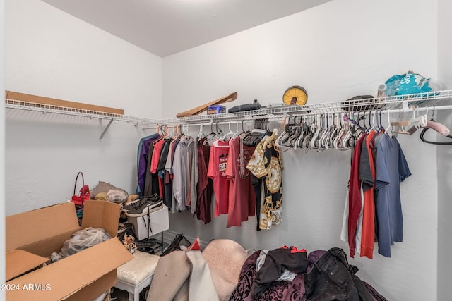 view of spacious closet