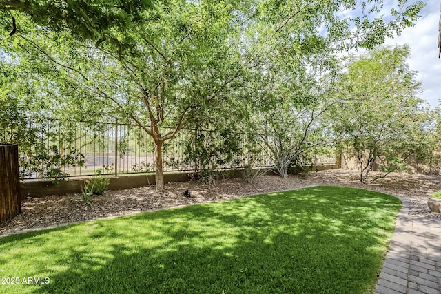 5759 W Saratoga Ct, Florence, AZ 85132 - view of yard