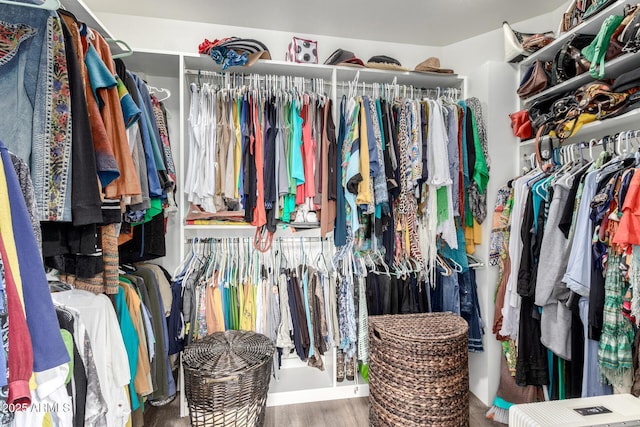 walk in closet featuring hardwood / wood-style flooring