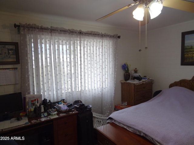 bedroom with ceiling fan