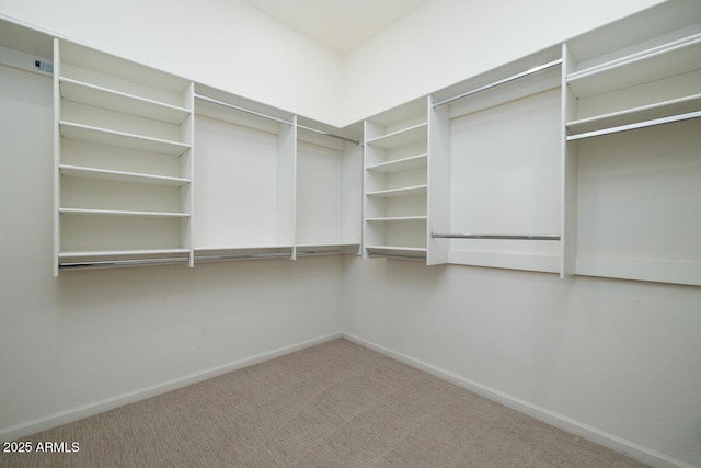 walk in closet with carpet flooring