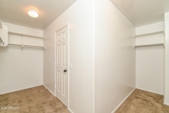 spacious closet with light carpet