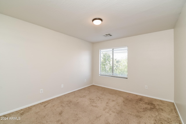 spare room featuring carpet floors