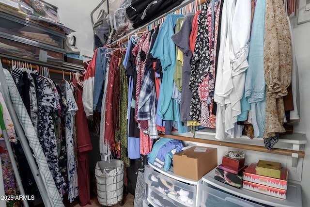 view of spacious closet