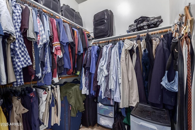 view of spacious closet