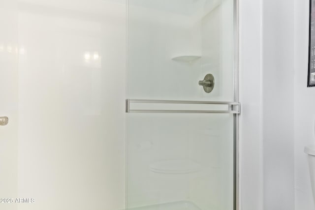 bathroom featuring a shower stall and toilet