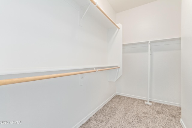 spacious closet with light carpet