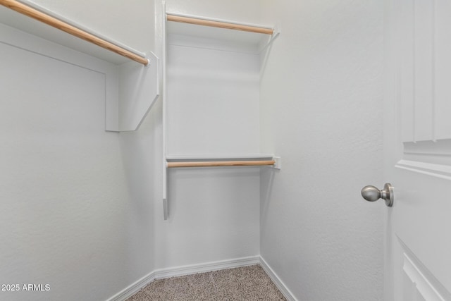 spacious closet with carpet floors