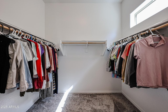 spacious closet with carpet flooring