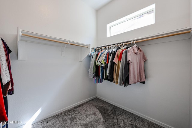 walk in closet featuring carpet