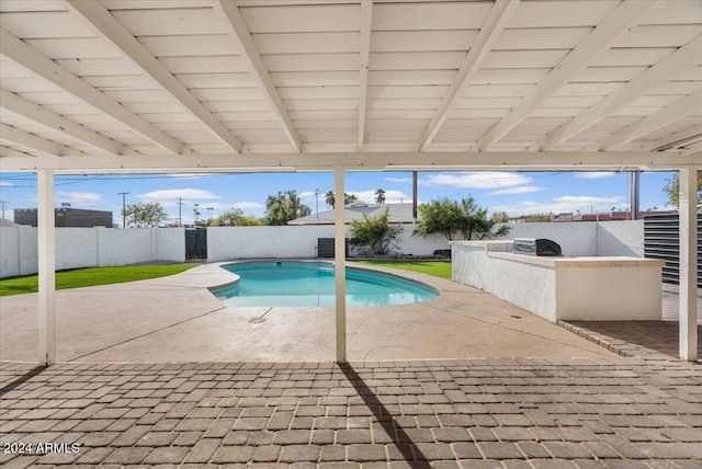 view of swimming pool featuring a patio area and exterior kitchen